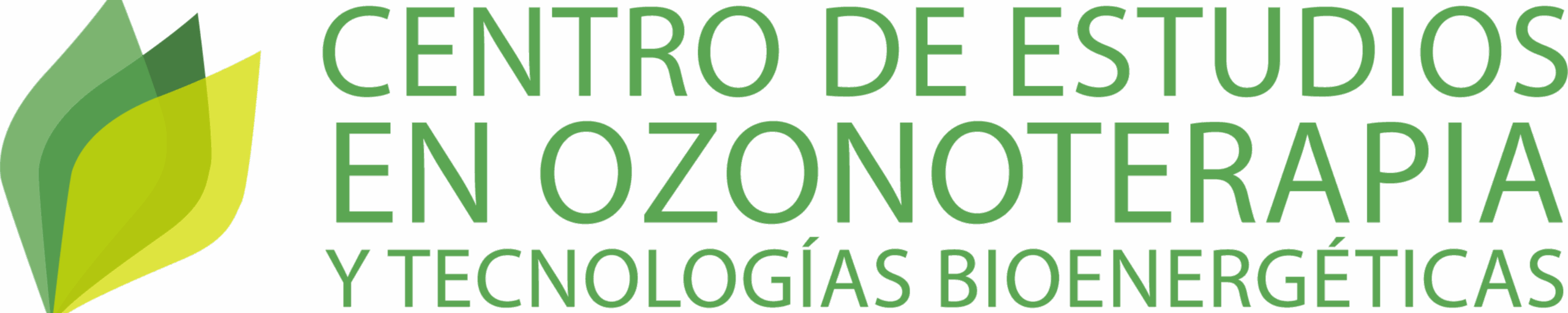 Academia Online del CEO3